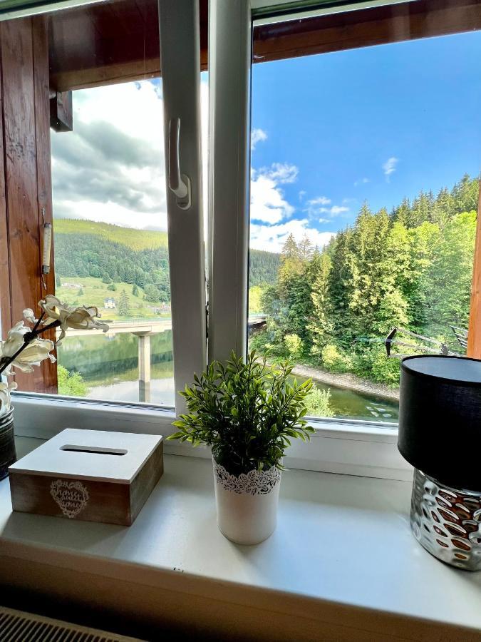 Appartamento Apartmán Labská 21 ve Špindlerově Mlýně Špindlerŭv Mlýn Esterno foto